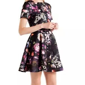 Ted Baker Tamary Shadow Floral Skater Dress